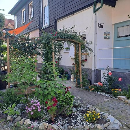 Sonniges Apartment Altenbrak Zewnętrze zdjęcie