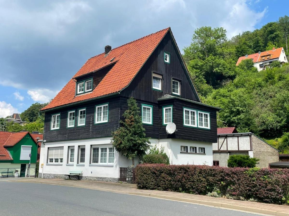 Sonniges Apartment Altenbrak Zewnętrze zdjęcie