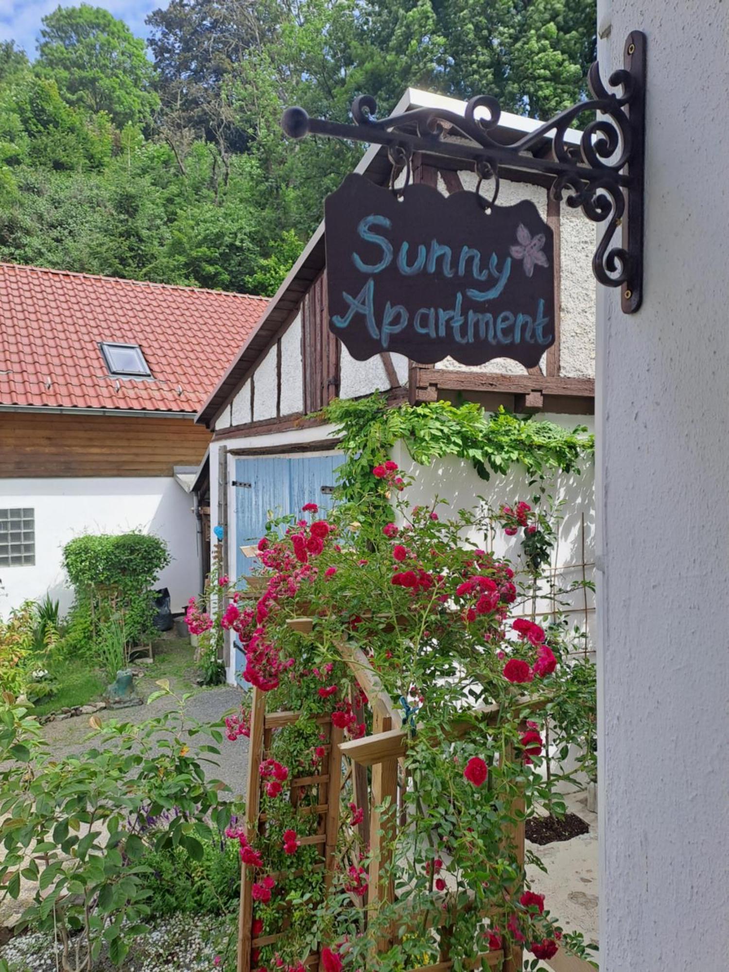 Sonniges Apartment Altenbrak Zewnętrze zdjęcie