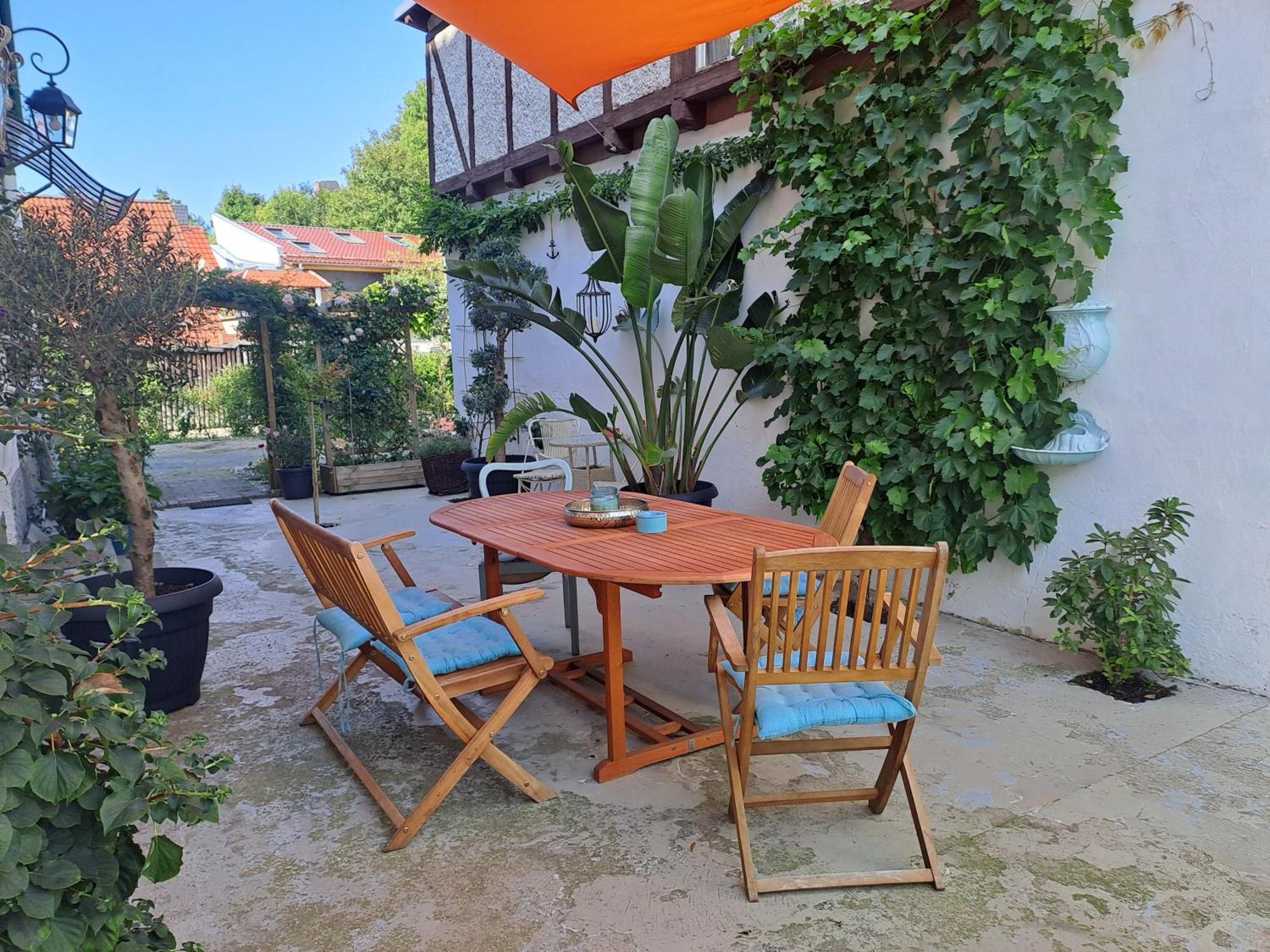 Sonniges Apartment Altenbrak Zewnętrze zdjęcie