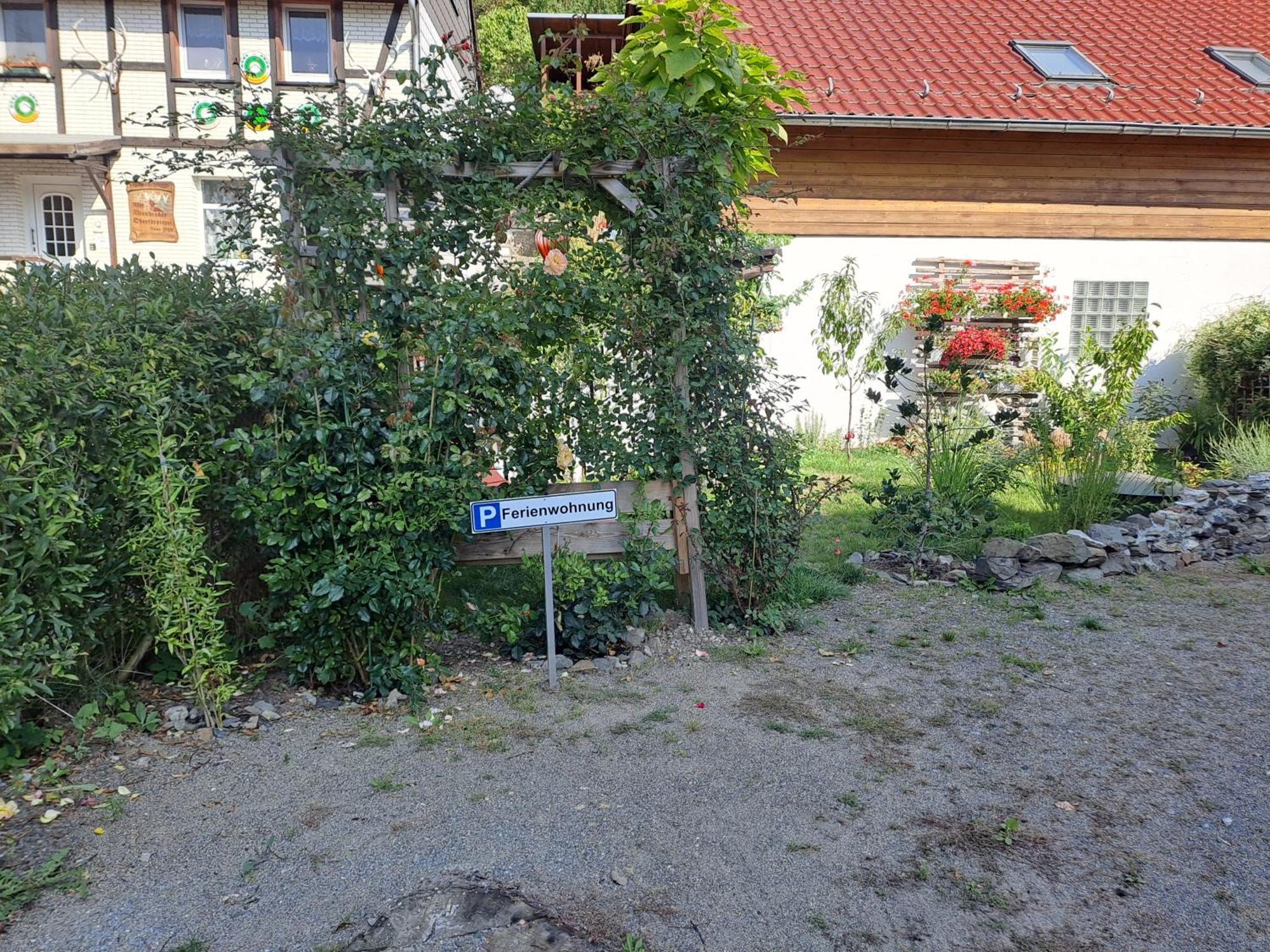 Sonniges Apartment Altenbrak Zewnętrze zdjęcie