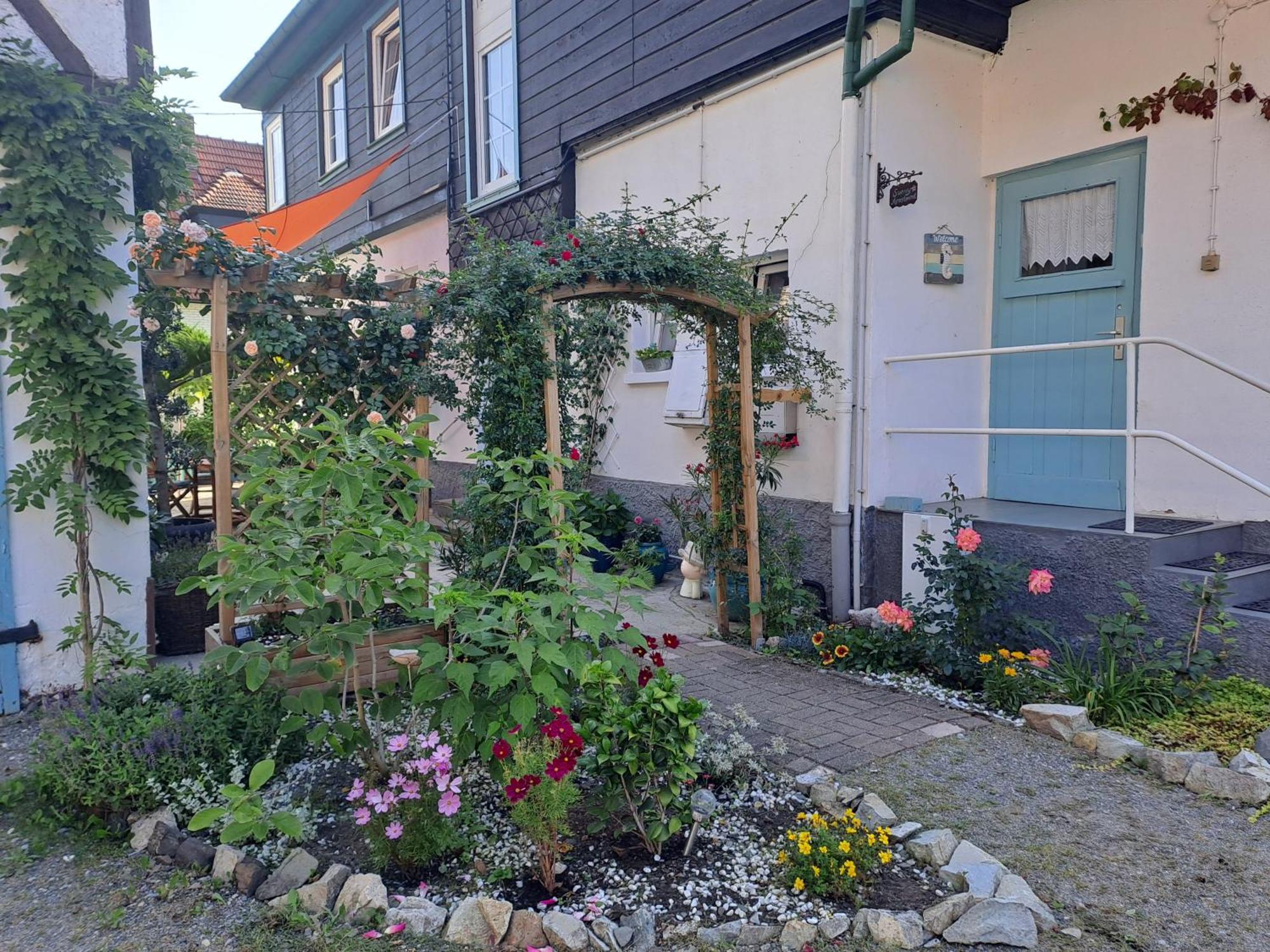 Sonniges Apartment Altenbrak Zewnętrze zdjęcie